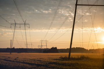 Power lines at sunset