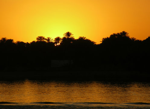 Sonnenuntergang in Ägypten am Nil mit Palmen im Hintergrund als Silhouette