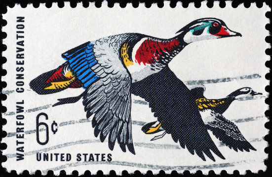 Flying ducks on vintage us postage stamp