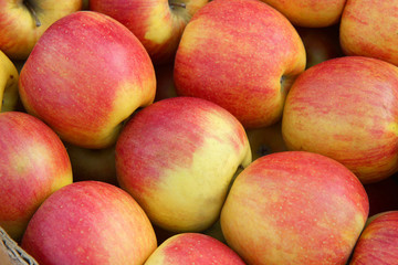 fresh red apples on the market