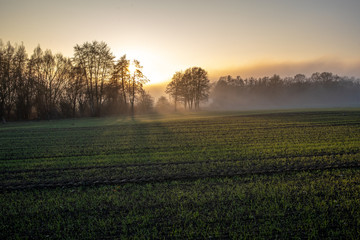 Obraz premium The Last Rays Of Sunlight Of The Day Shine Through The Fog