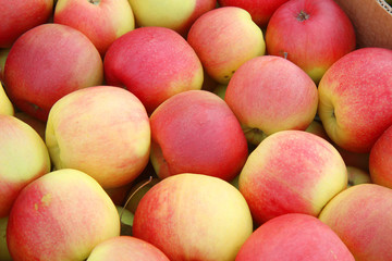 fresh red apples on the market
