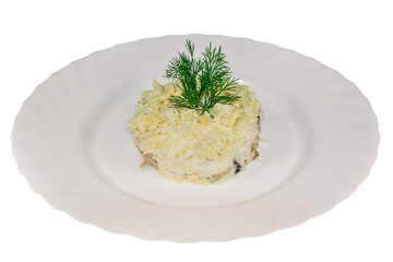 salad in a plate isolate. decorated with greens. restaurant feed