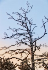 Splendides paysages colorés au nord de la Laponie finlandaise dans les environs de la ville d' Ivalo