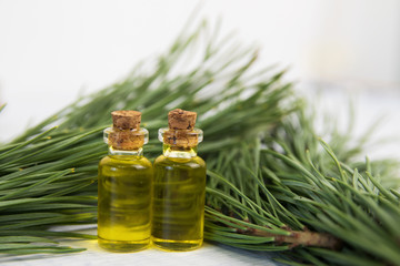 body oil in small jars on a background of pine branches