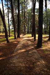 City Park in Brasilia, Brazil