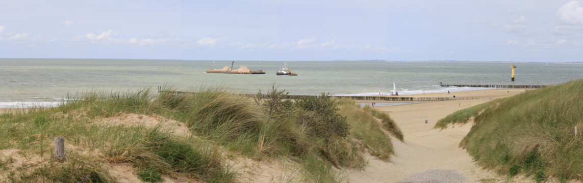 a coast landscape panorama at the dutch coast in zeeland with the dunes with marram grass in front of the westerschelde sea