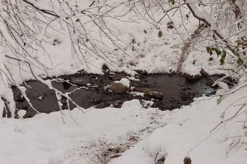 a small river in the winter