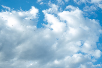blue sky with white clouds