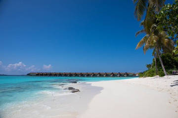 Fototapeta na wymiar White sand beach and crystal clear water in the Maldives