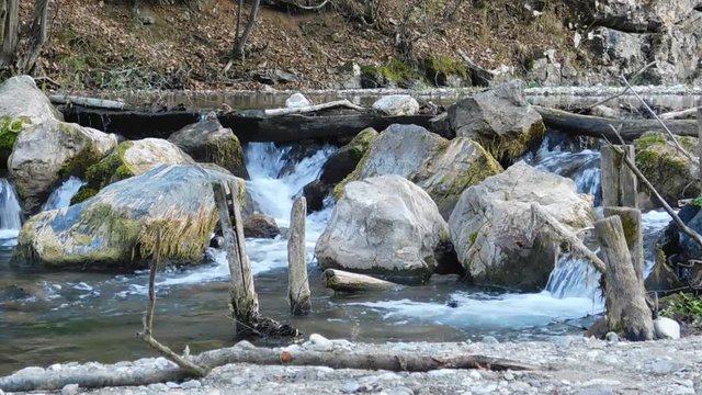 waterfall in the forest
