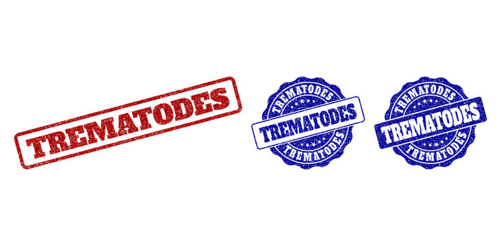 TREMATODES grunge stamp seals in red and blue colors. Vector TREMATODES imprints with grunge texture. Graphic elements are rounded rectangles, rosettes, circles and text tags.