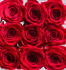 Collage of red roses. Bouquet of fresh roses, flower bright background. A close up macro shot of a red rose. Flower shop. Red rose flower, petals. Bouquet of flowers, fresh red rose.