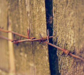 old barbed wire on wood fence