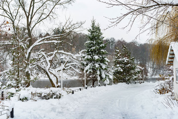 The trees near the river are covered with white snow