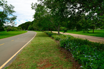 City Park in Brasilia, Brazil