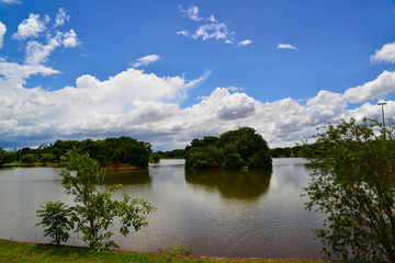 Fototapeta na wymiar City Park in Brasilia, Brazil