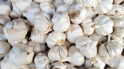 Fresh garlic as background