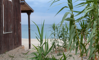 View of the sea with a fragment of a fishing hut across the coastal reeds growing on the sand. Gentle colors. Selective focus
