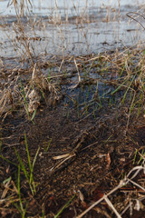 Beautiful view of lake through dry herbs and branches in early spring.