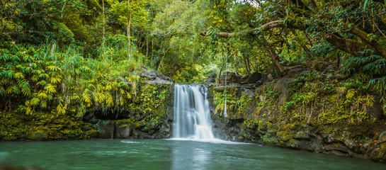 waterfall in the rain forest