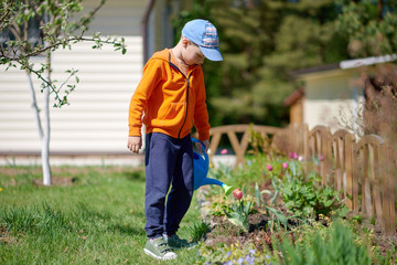 European boy with the blue watering can is helping to water the flowers in the croft. © Artem