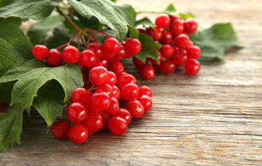 A branch of red viburnum. Autumn berry on wooden background.