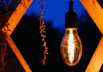 Wedding Arch at the ceremony. Close-up light Bulb, Edison decorative elements.