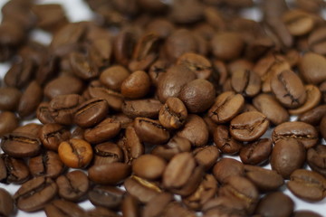 Many coffee beans roasted  macro pattern isolated background