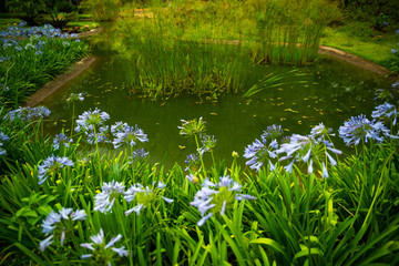 Botanical Garden in Brasilia, Brazil