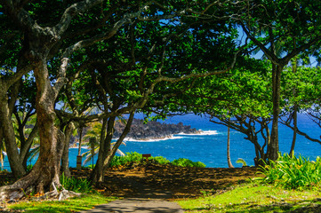 Spectacular ocean view on the Road to Hana, Maui, Hawaii, USA