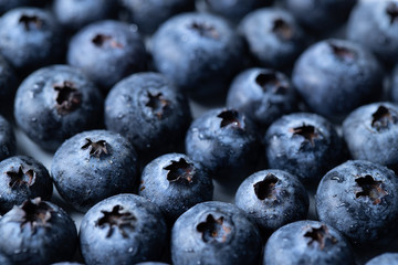 A macro shot of blueberries covered in water drops.