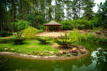 Fototapeta na wymiar Botanical Garden in Brasilia, Brazil