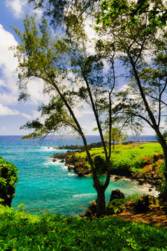 Spectacular ocean view on the Road to Hana, Maui, Hawaii, USA © Don Landwehrle