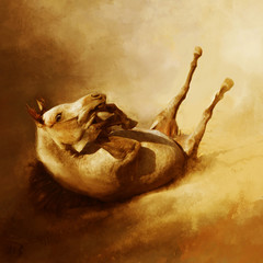 Arabian horse in dynamics, koń Arabski © Marcel