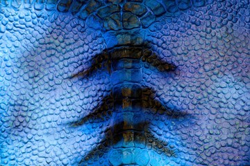 Detail of blue purple skin of reptile.Blue distinctive scaly leather with black maps.