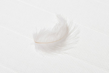 White feather on soft mattress