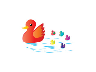 Mother-duck is teaching her children to swimming in a pool.