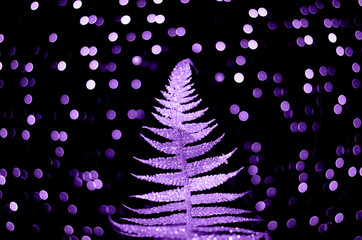Shiny purple fern on black background with confetti.
