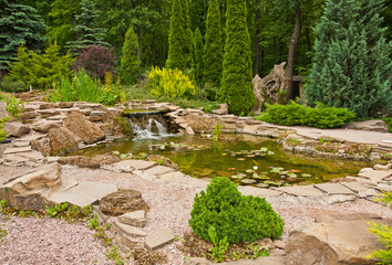Landscape design, view of small pond with water lilies and small waterfall