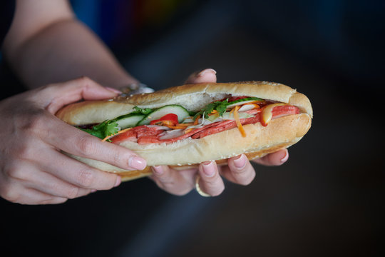 Original BANH MI vietnamesisches belegtes Street Food Sandwich aus Vietnam in der Hand von einer Frau  