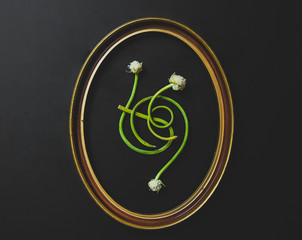 Flowers in a picture frame