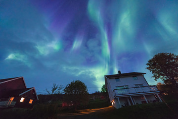 The polar arctic Northern lights aurora borealis sky star in Scandinavia Norway Tromso in the farm winter snow mountains