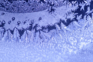 Frosted Window with unique pattern appearance of a frozen forest of evergreen trees