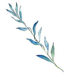 Isolated Blue Willow branches illustration element. Watercolor background illustration set.