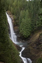 Naklejka na ściany i meble aerial view of pacific northwest tall waterfall in forest of green evergreen trees