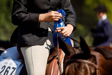 Woman Holding Blue Ribbon