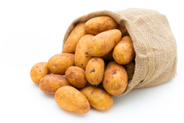 A bio russet potato isolated white background.