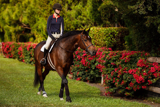 English Rider and Flowers