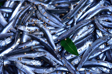 Fresh sprats with coriander seeds and bay leaf. © konik60